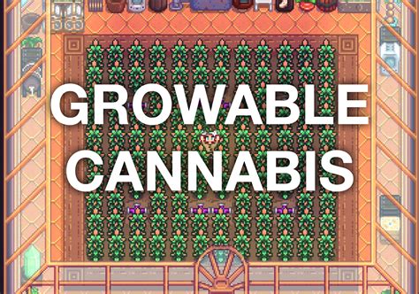 Here is the long awaited <strong>Stardew Valley</strong> Legal Cannabis <strong>Mod</strong> Guide, updated for 2022. . Stardew valley weed mod